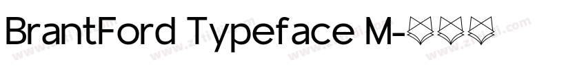 BrantFord Typeface M字体转换